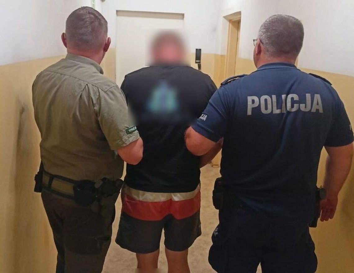 Z marihuaną i amfetaminą do... lasu