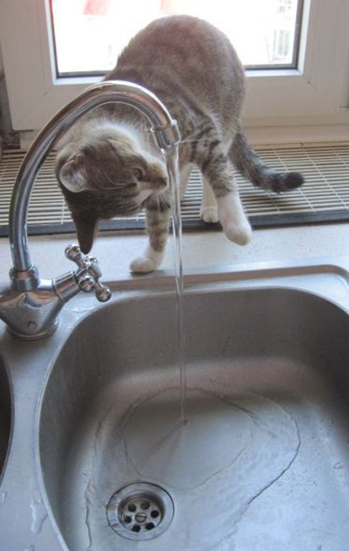 Zabarwiona woda - do picia, mycia czy płukania? Zabarwiona woda - do picia, mycia czy płukania?