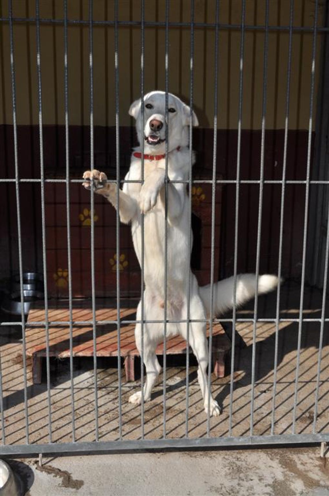 Zabrakło głosów czy dobrej woli?