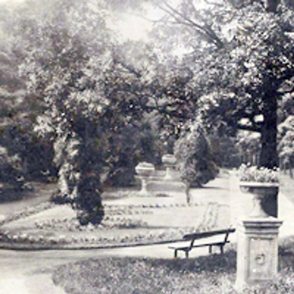 Zadecyduj o zmianach w Parku Miejskim w Tczewie! Zadecyduj o zmianach w Parku Miejskim w Tczewie!