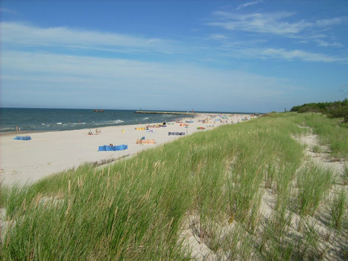 Zaginęło dziecko? Jak należy postępować. Zaginęło dziecko? Jak należy postępować.