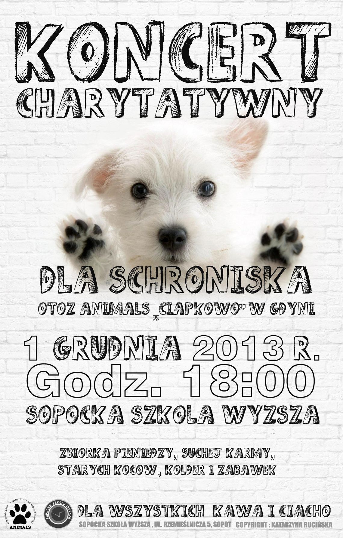 Zagrają dla bezdomnych z "Ciapkowa" Zagrają dla bezdomnych z "Ciapkowa"