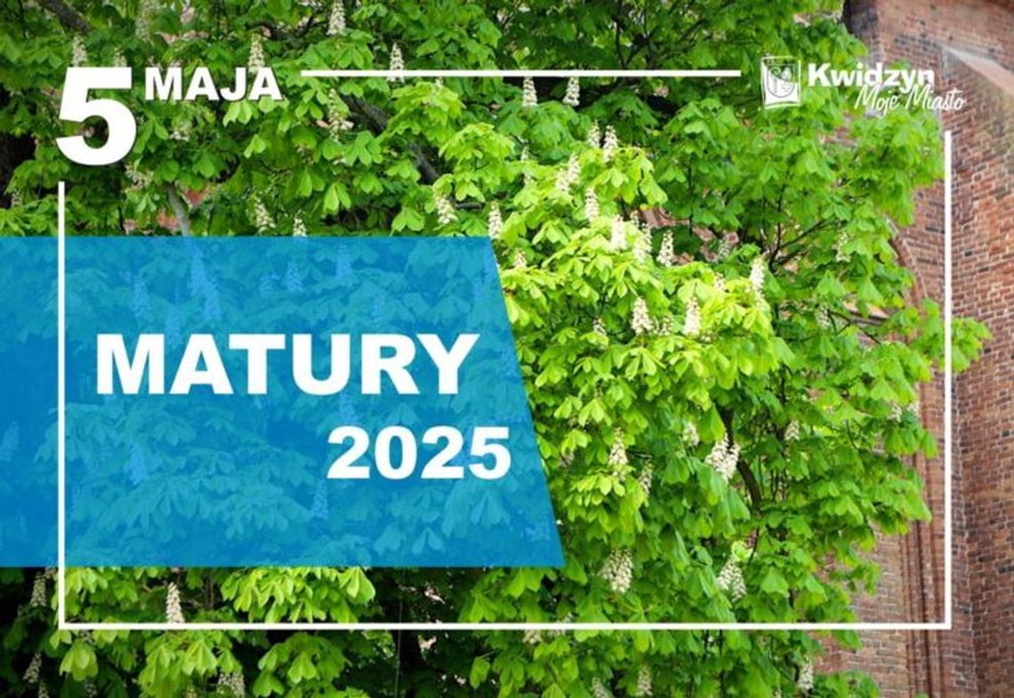 Zakwitły kasztany – nieomylny znak, że nadszedł czas egzaminów dojrzałości! Zakwitły kasztany – nieomylny znak, że nadszedł czas egzaminów dojrzałości!