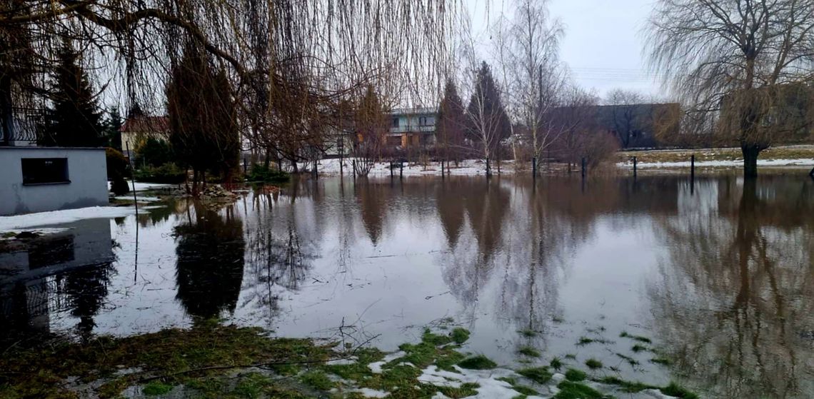 Zalana posesja w Kamionce. Interweniowały jednostki OSP