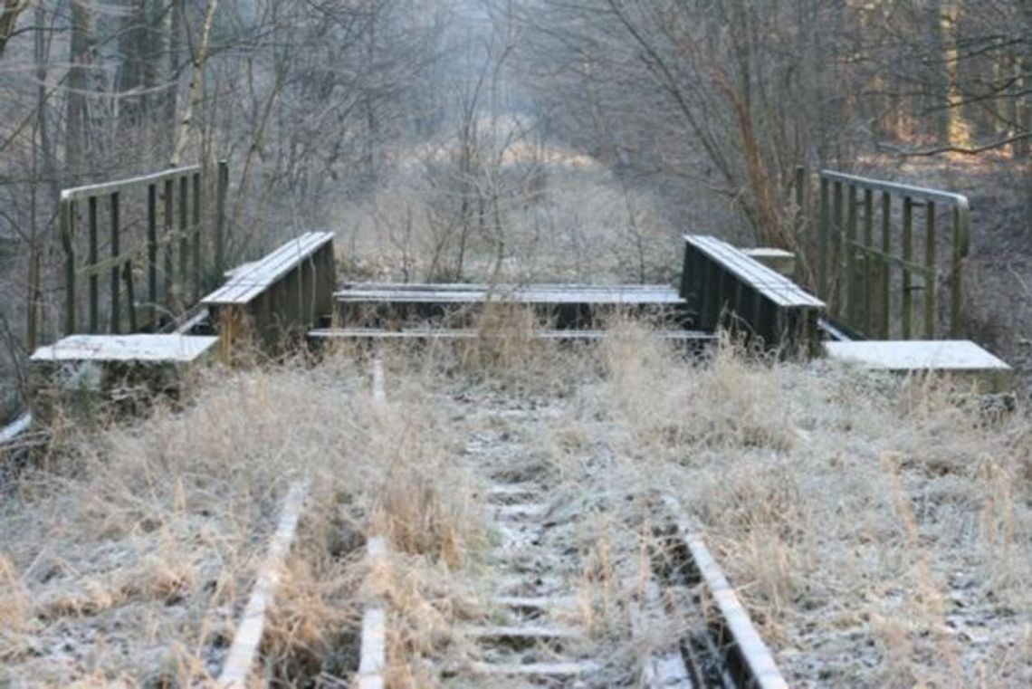 Zamiast torów ścieżka dla rowerów. Dewastacja postępuje. Gminy chcą przejąć tereny po nieczynnej linii kolejowej Zamiast torów ścieżka dla rowerów. Dewastacja postępuje. Gminy chcą przejąć tereny po nieczynnej linii kolejowej