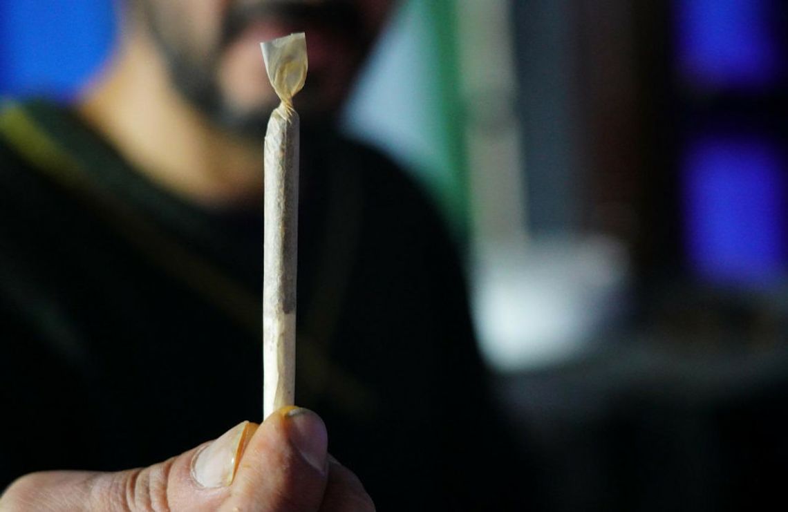 Zaparkował na zakazie, będąc bez uprawnień i pod wpływem marihuany Zaparkował na zakazie, będąc bez uprawnień i pod wpływem marihuany