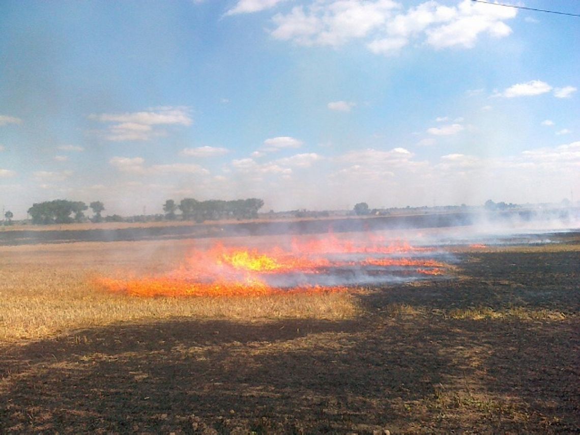 Zapłonęło pole ze ścierniskiem Zapłonęło pole ze ścierniskiem