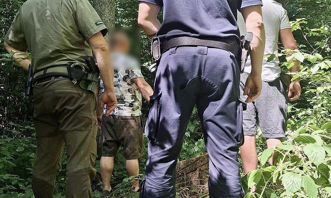 Zapobiegli dalszej nielegalnej wycince drzew