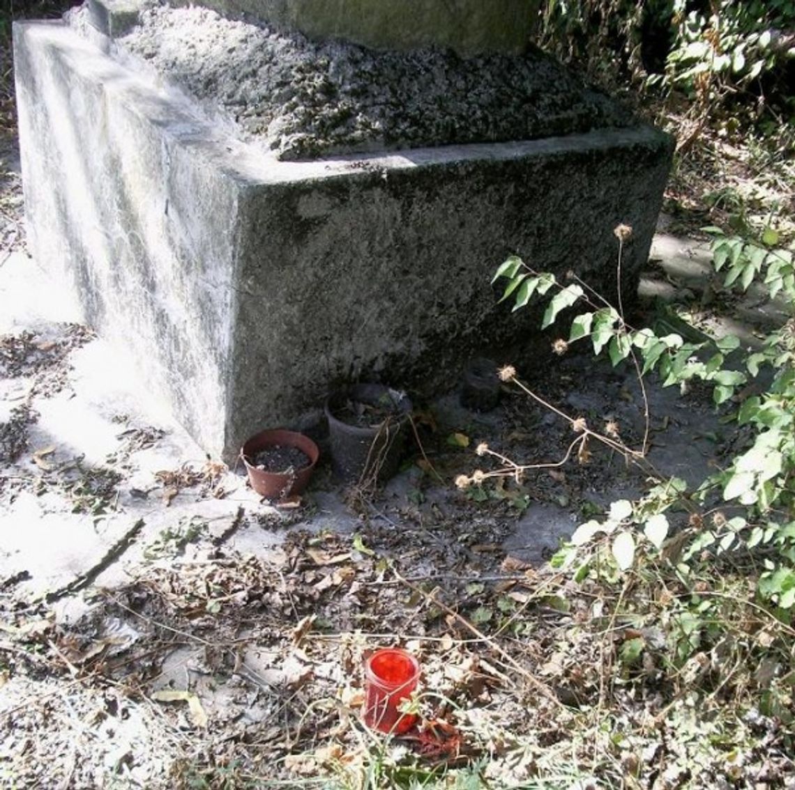 Zapomniany w 70. rocznicę śmierci. Chaszcze i nieporządek zamiast zniczy i kwiatów Zapomniany w 70. rocznicę śmierci. Chaszcze i nieporządek zamiast zniczy i kwiatów
