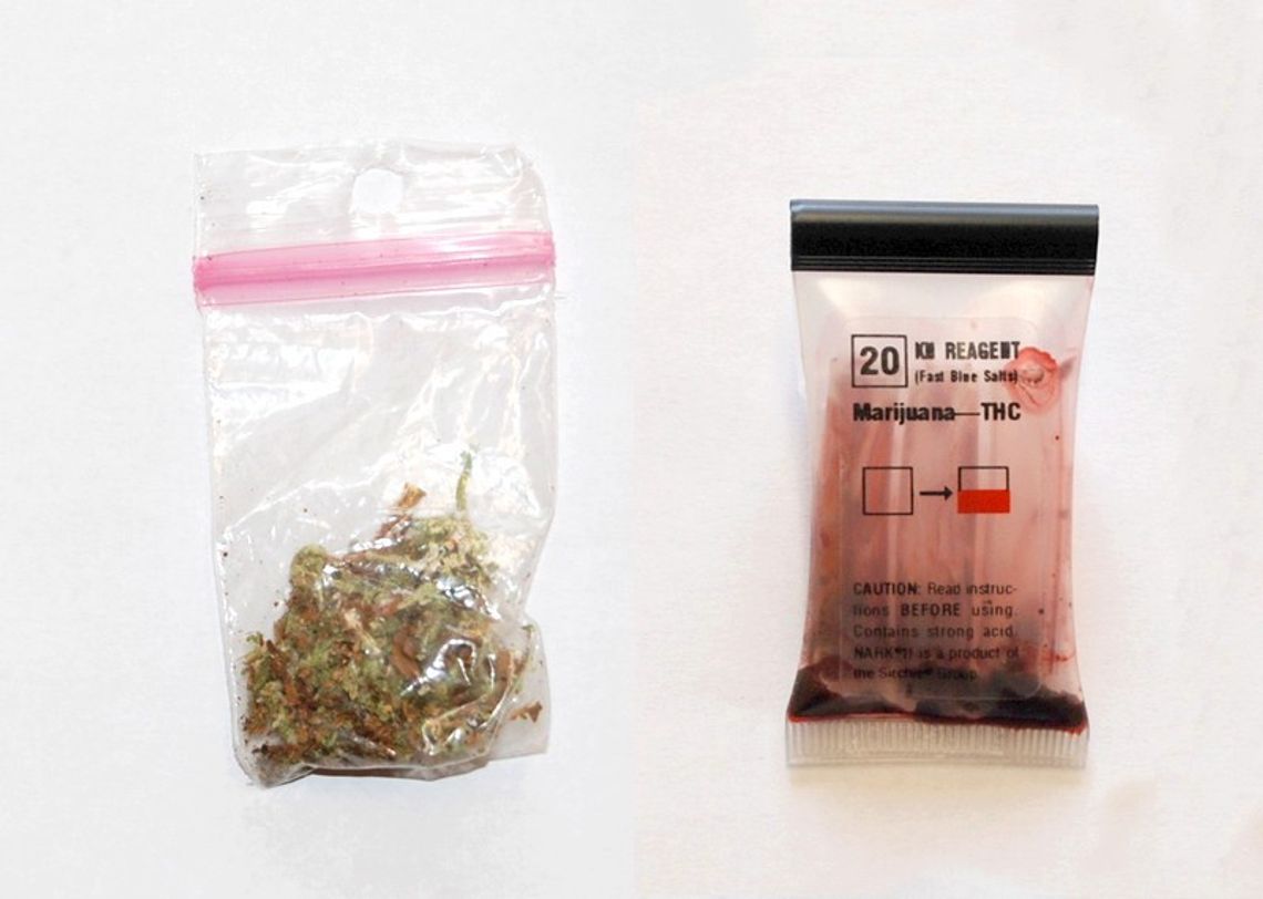 Zarzuty za posiadanie narkotyków Zarzuty za posiadanie narkotyków