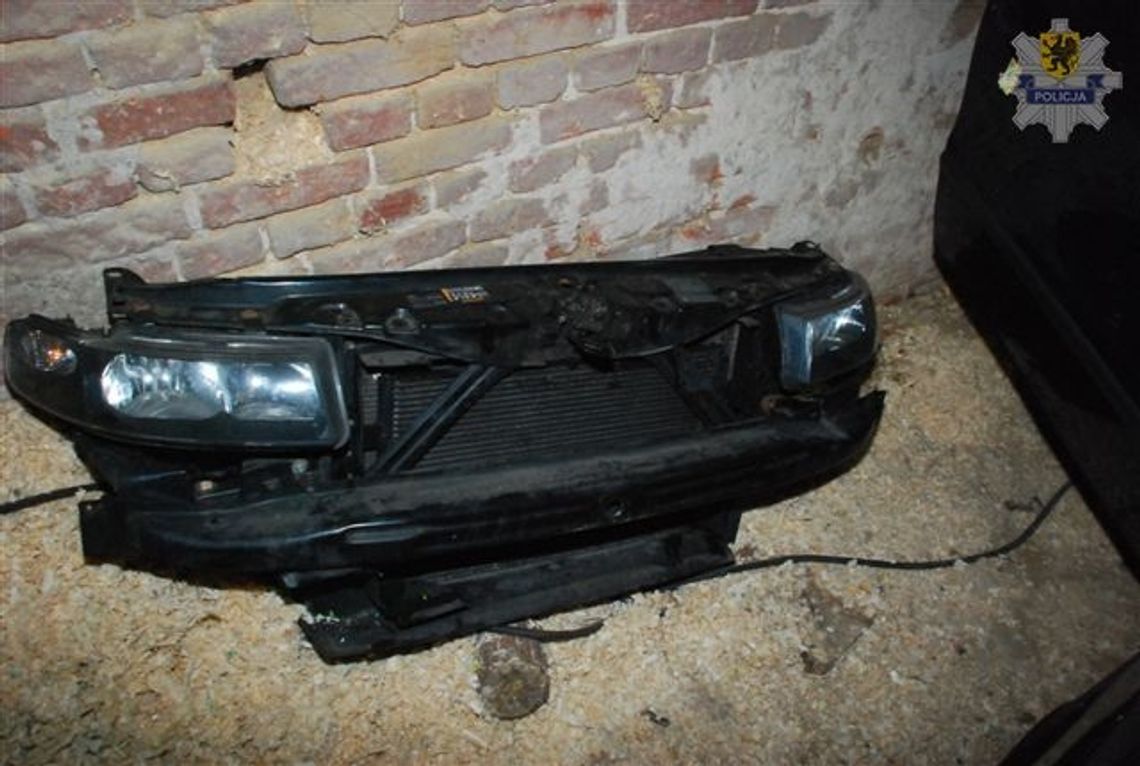 Zasadzka na gang w dziupli