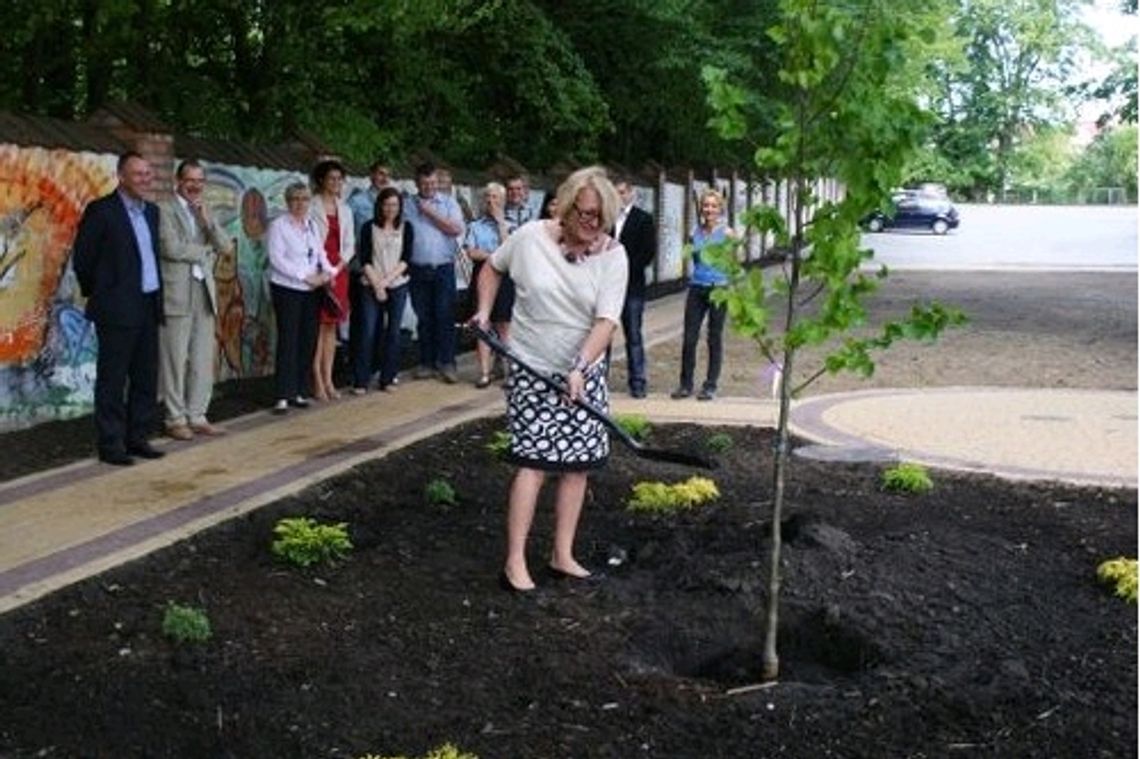 Zasadzono drzewko radiowej „Trójki” Zasadzono drzewko radiowej „Trójki”