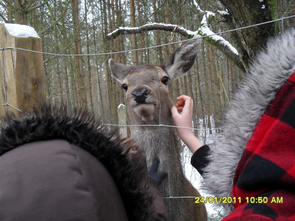 Zaszczepić miłość do przyrody Zaszczepić miłość do przyrody