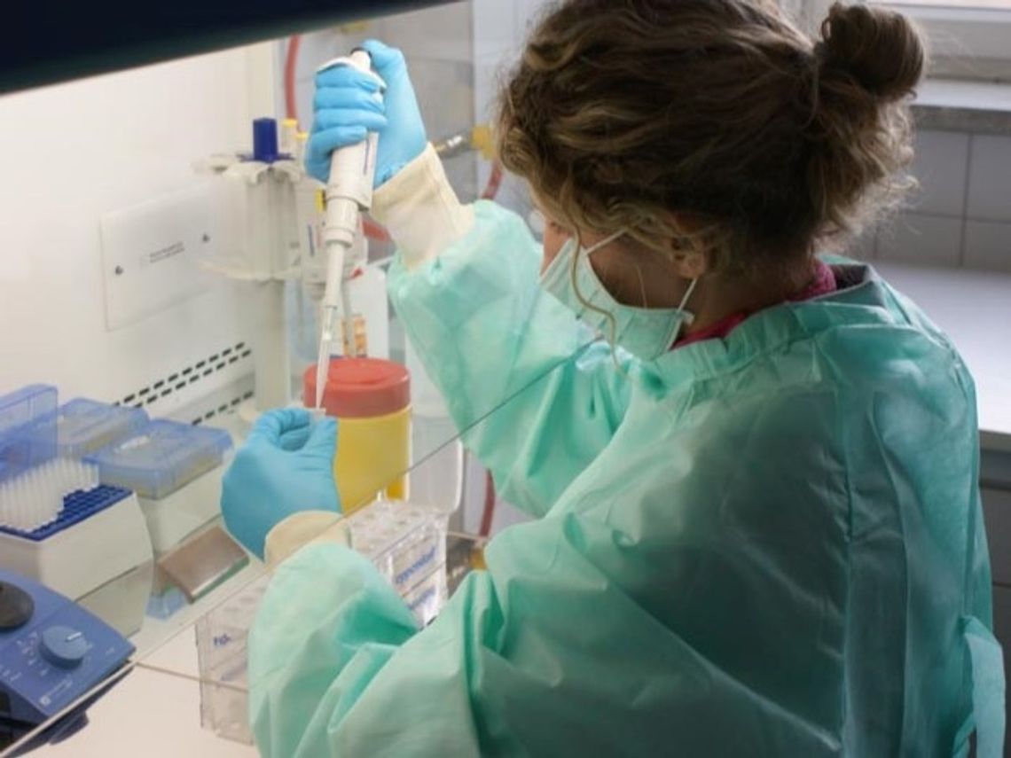 Zatrucie na koloniach Zatrucie na koloniach