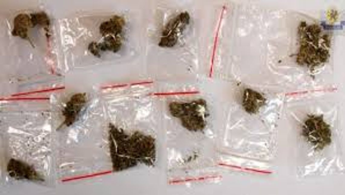 Zatrzymani za handel dopalaczami Zatrzymani za handel dopalaczami