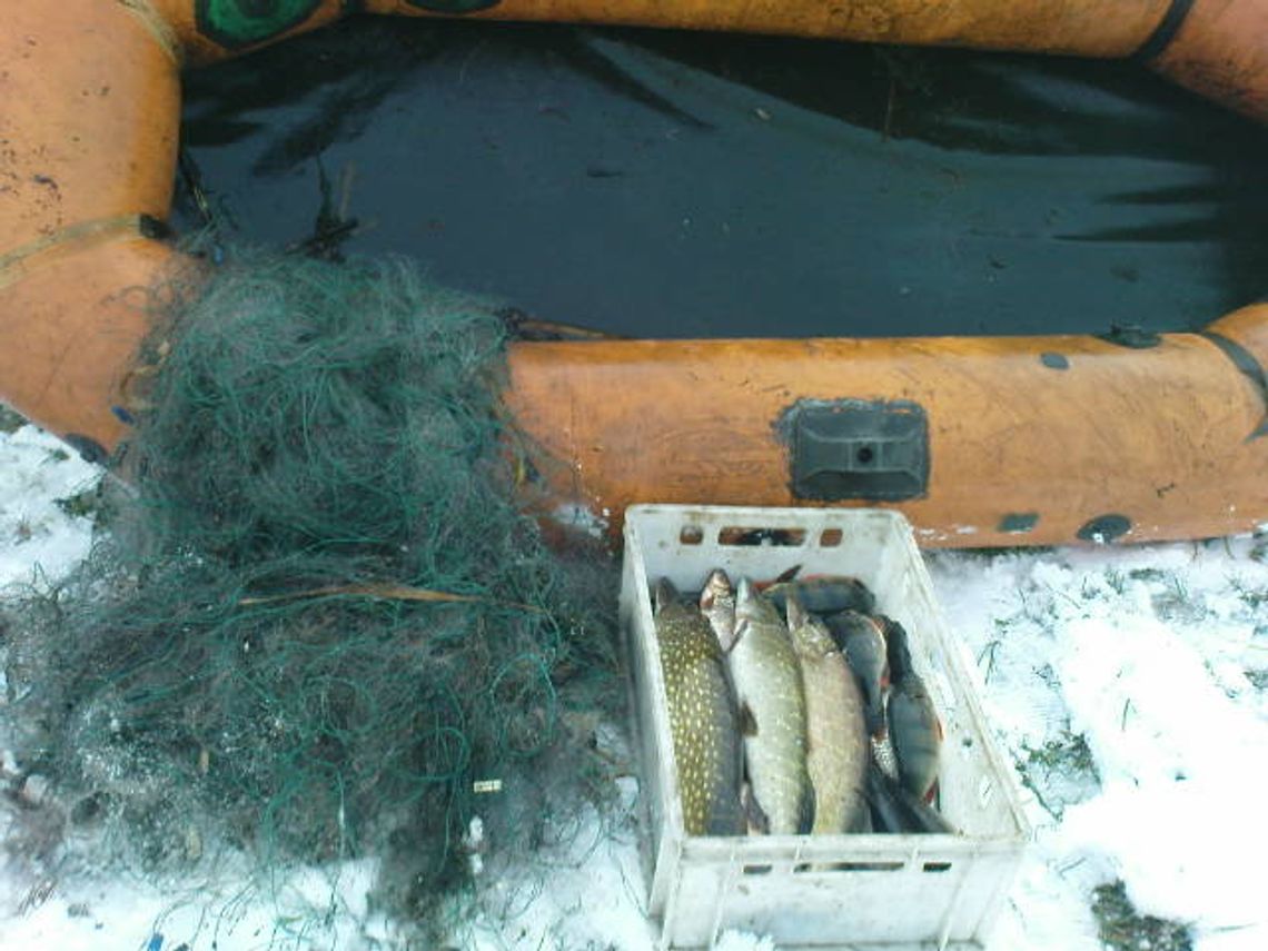 Zatrzymano dwóch kłusowników