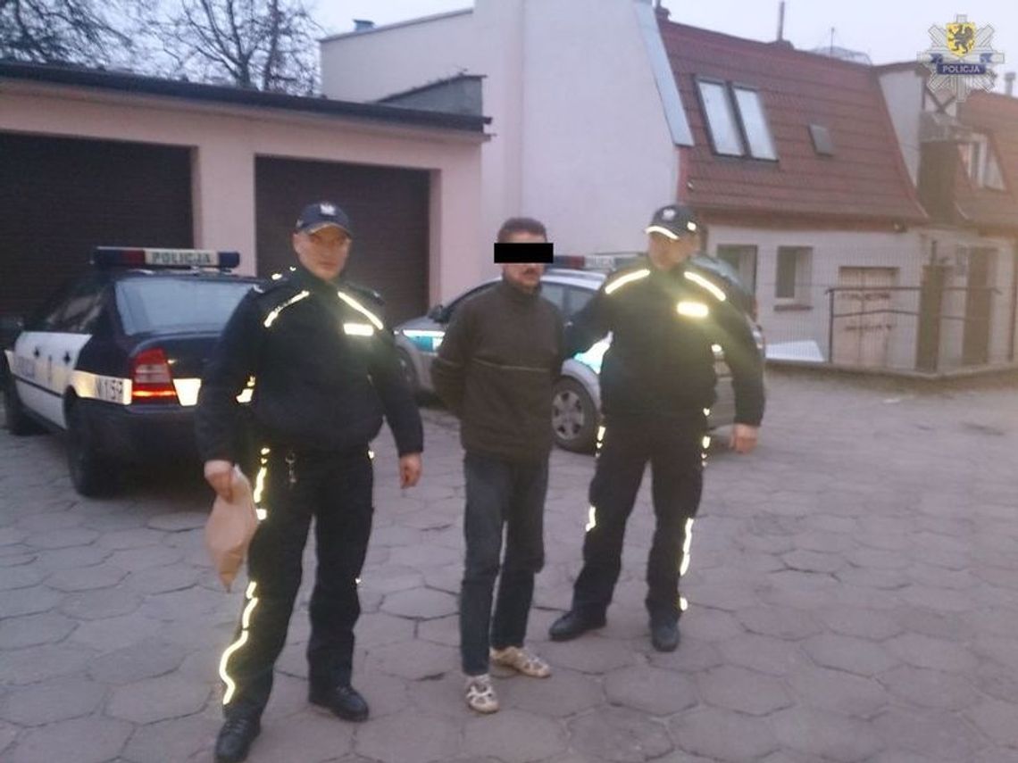 Zatrzymano osobę podejrzaną o zabicie i znęcanie się nad psami