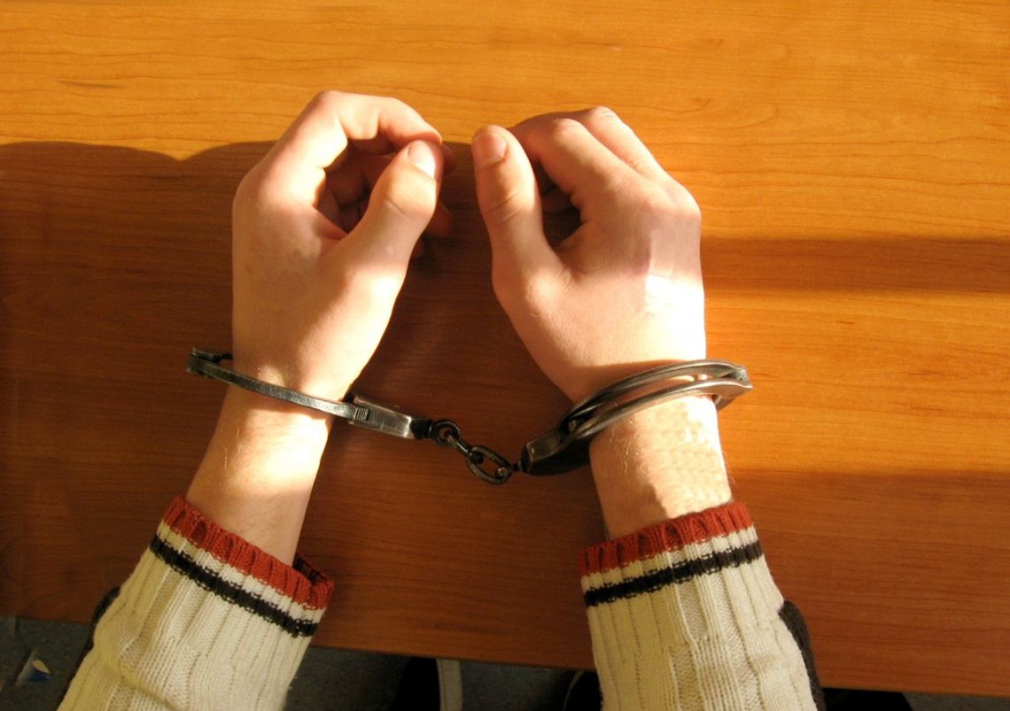 Zbrodnia (nie)doskonała – Gdy pech dopada przestępcę - absurdalne wpadki z policyjnych kronik Zbrodnia (nie)doskonała – Gdy pech dopada przestępcę - absurdalne wpadki z policyjnych kronik