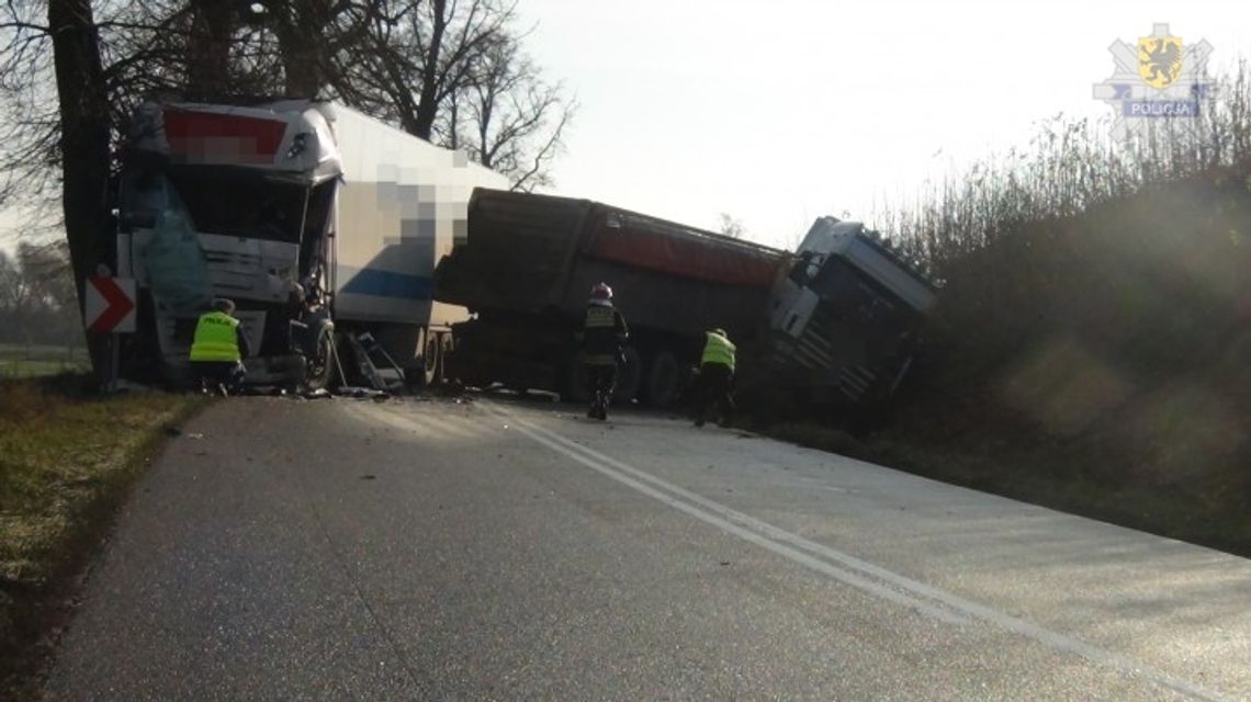 Zderzenie ciężarówek w Dąbrówce Malborskiej