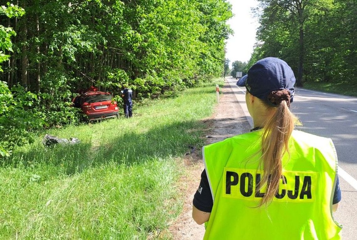 Zderzenie samochodu z łosiem na DK 22. Policjanci apelują o ostrożność Zderzenie samochodu z łosiem na DK 22. Policjanci apelują o ostrożność