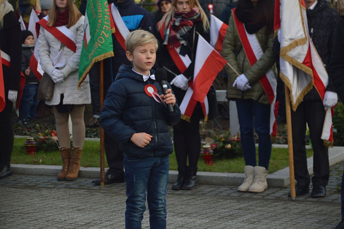 [ZDJĘCIA] Festyn, koncert i laserowe show na Święto Niepodległości