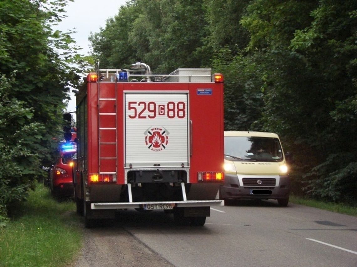 ZDJĘCIA: Motocyklista trafił do szpitala po zderzeniu z jeleniem ZDJĘCIA: Motocyklista trafił do szpitala po zderzeniu z jeleniem