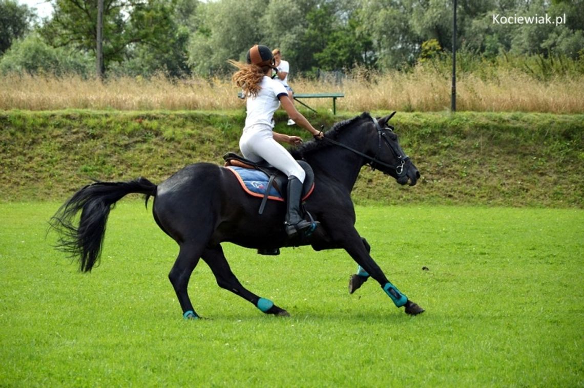 ZDJĘCIA: VII Piknik z Końmi - Zawody Jeździeckie ZDJĘCIA: VII Piknik z Końmi - Zawody Jeździeckie