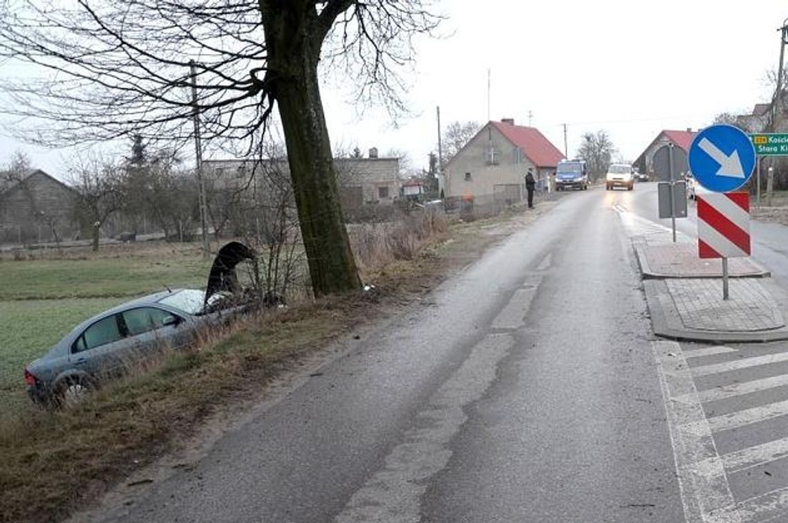 ZDJĘCIA Zjechał na pobocze i uderzył w drzewo - pierwszy atak zimy?