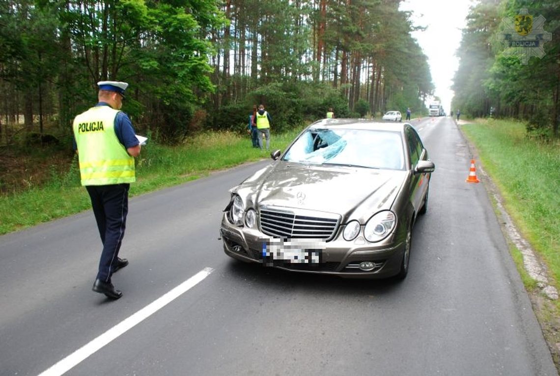 Zginął 85-letni rowerzysta