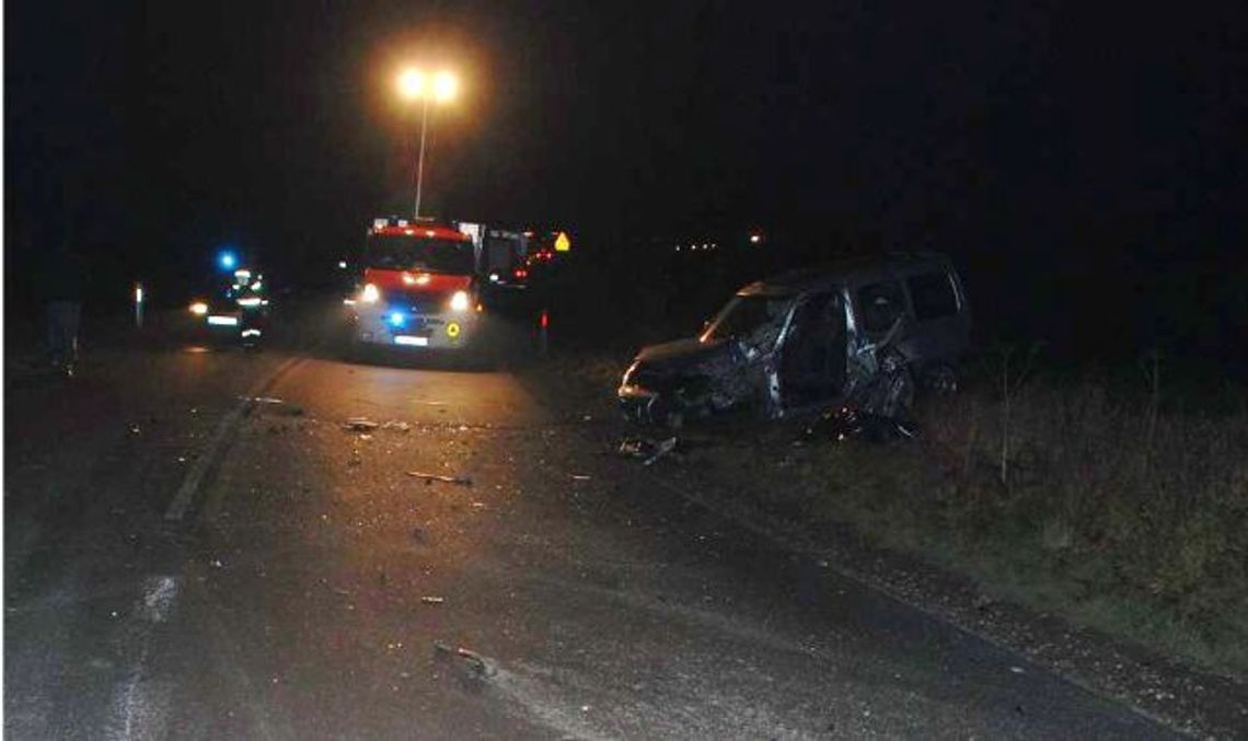 Zginął kierowca w wypadku koło Rakowca Zginął kierowca w wypadku koło Rakowca