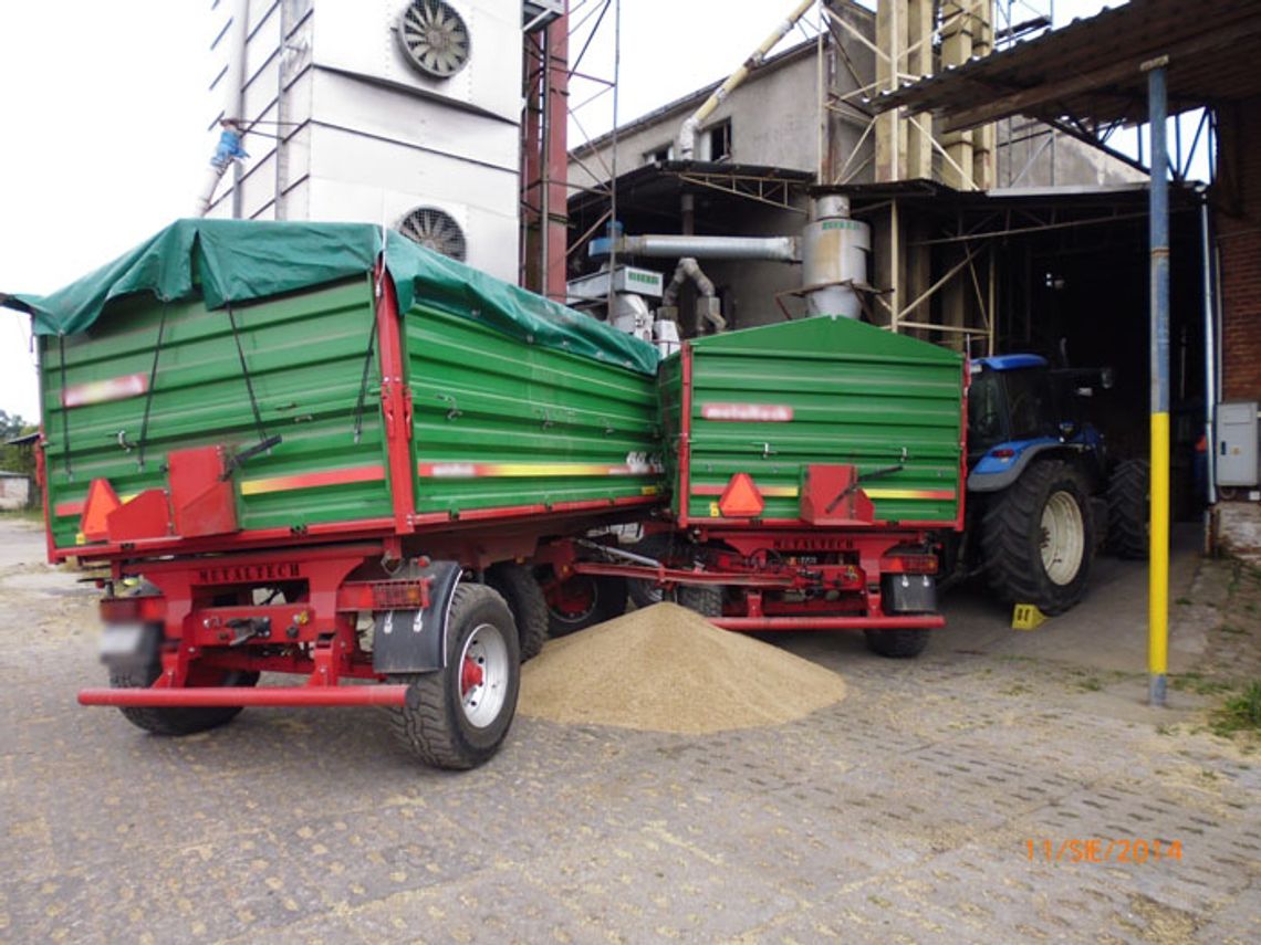 Zginął podczas rozładunku zboża