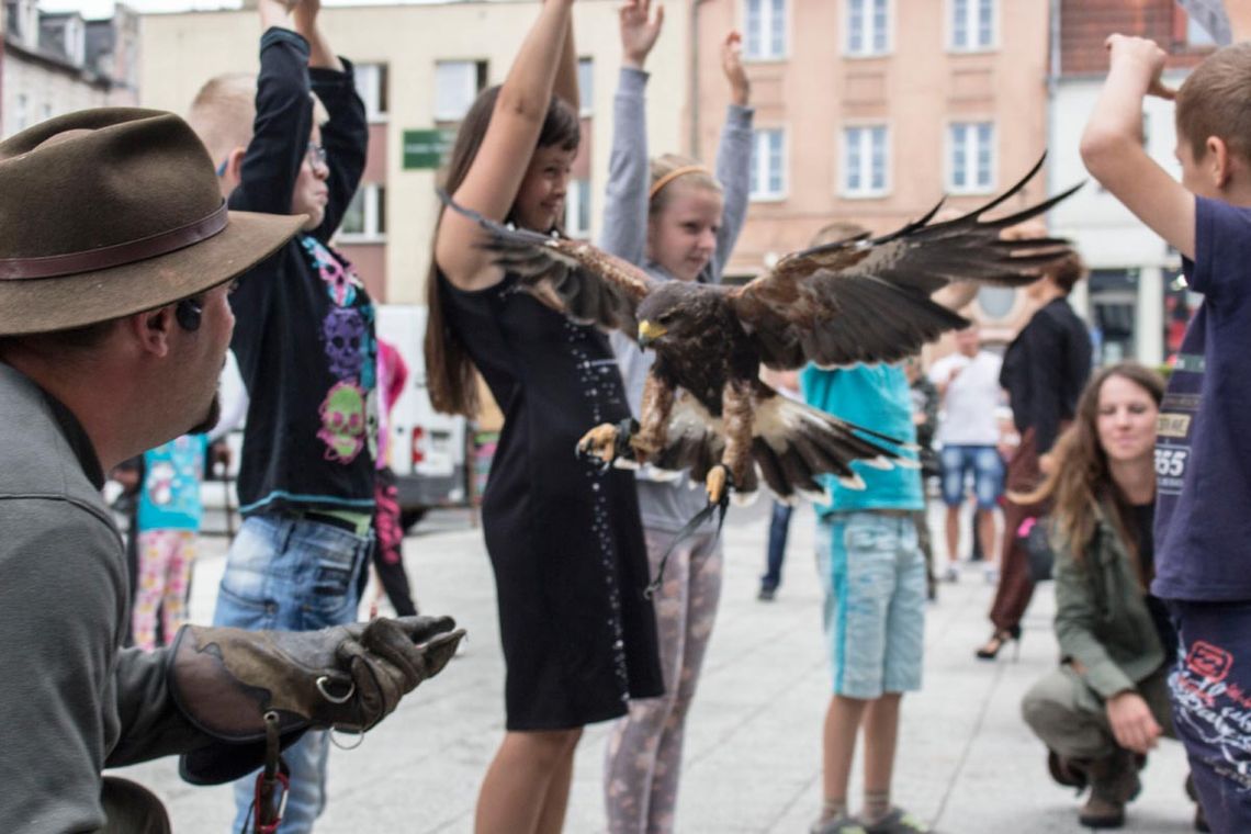 "Zielona Moc" zagościła na starogardzkim Rynku. Zobacz zdjęcia! "Zielona Moc" zagościła na starogardzkim Rynku. Zobacz zdjęcia!