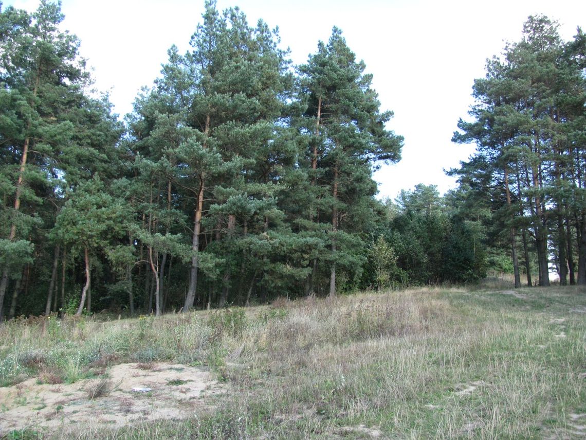 Zielone światło dla sądu i nowego parku Zielone światło dla sądu i nowego parku