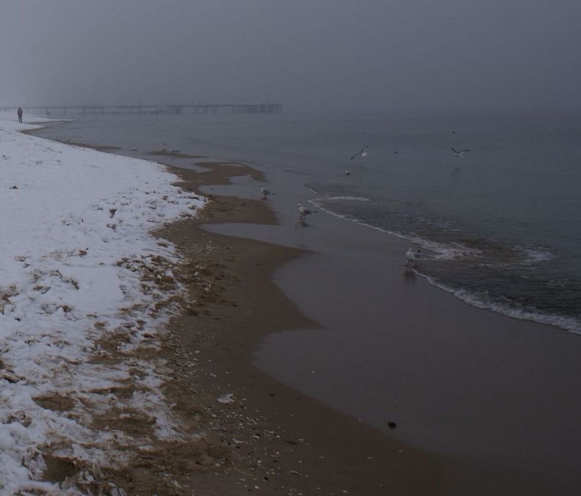 Zima wiosną - także na Pomorzu Zima wiosną - także na Pomorzu