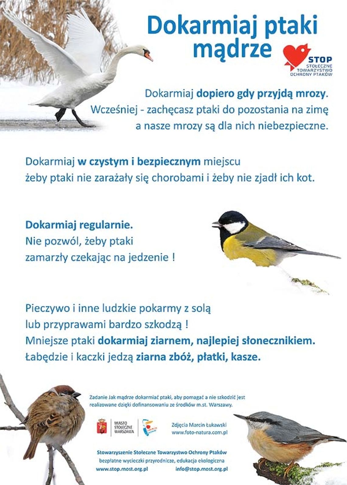 Zimowa akcja dokarmiania ptaków! A obok Urzędu Miasta nie wolno dokarmiać!!!