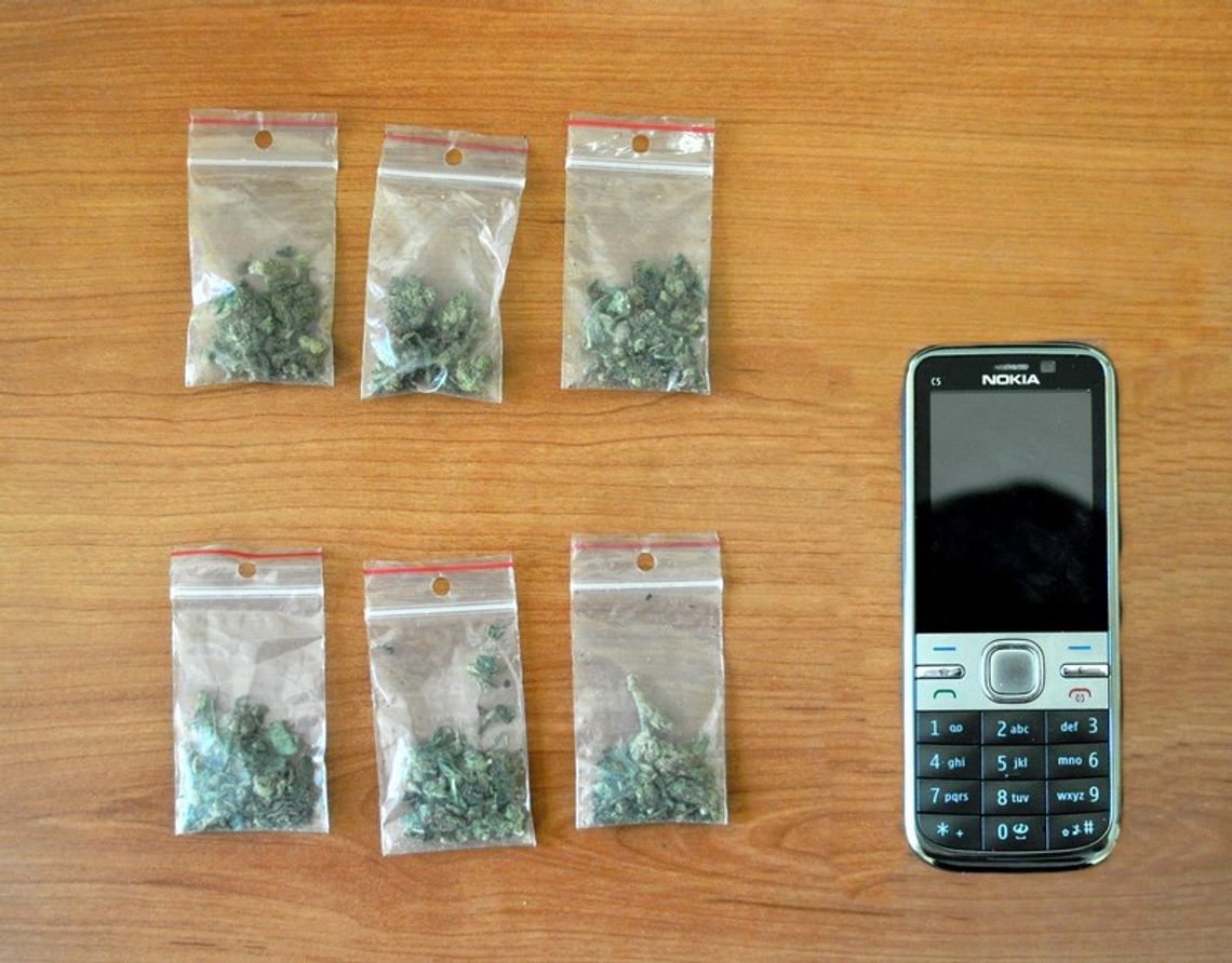 Złodziej i paser w policyjnym areszcie Złodziej i paser w policyjnym areszcie