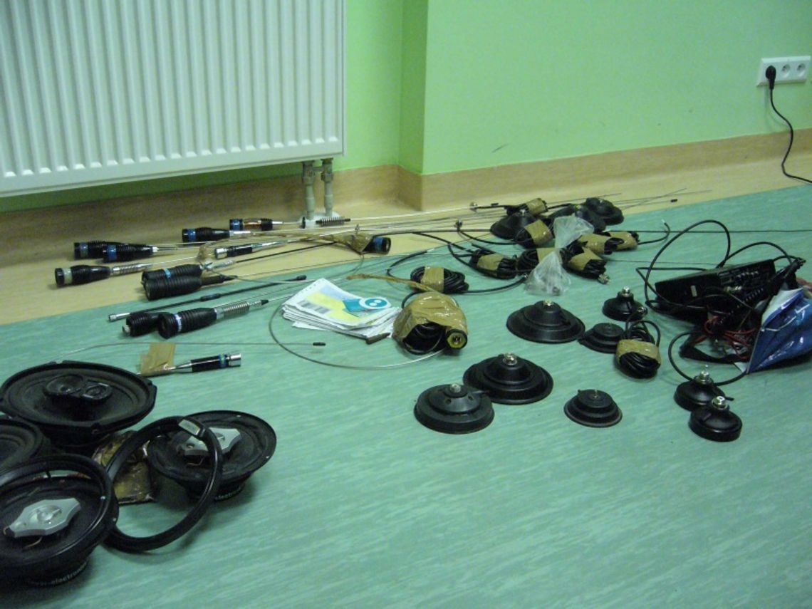 Złodziejaszek antenowy Złodziejaszek antenowy