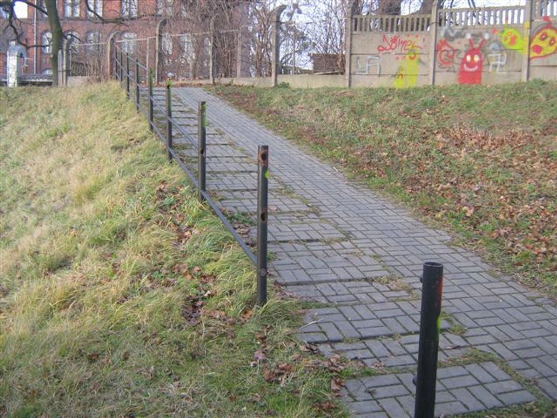 Złomiarz z brzeszczotem