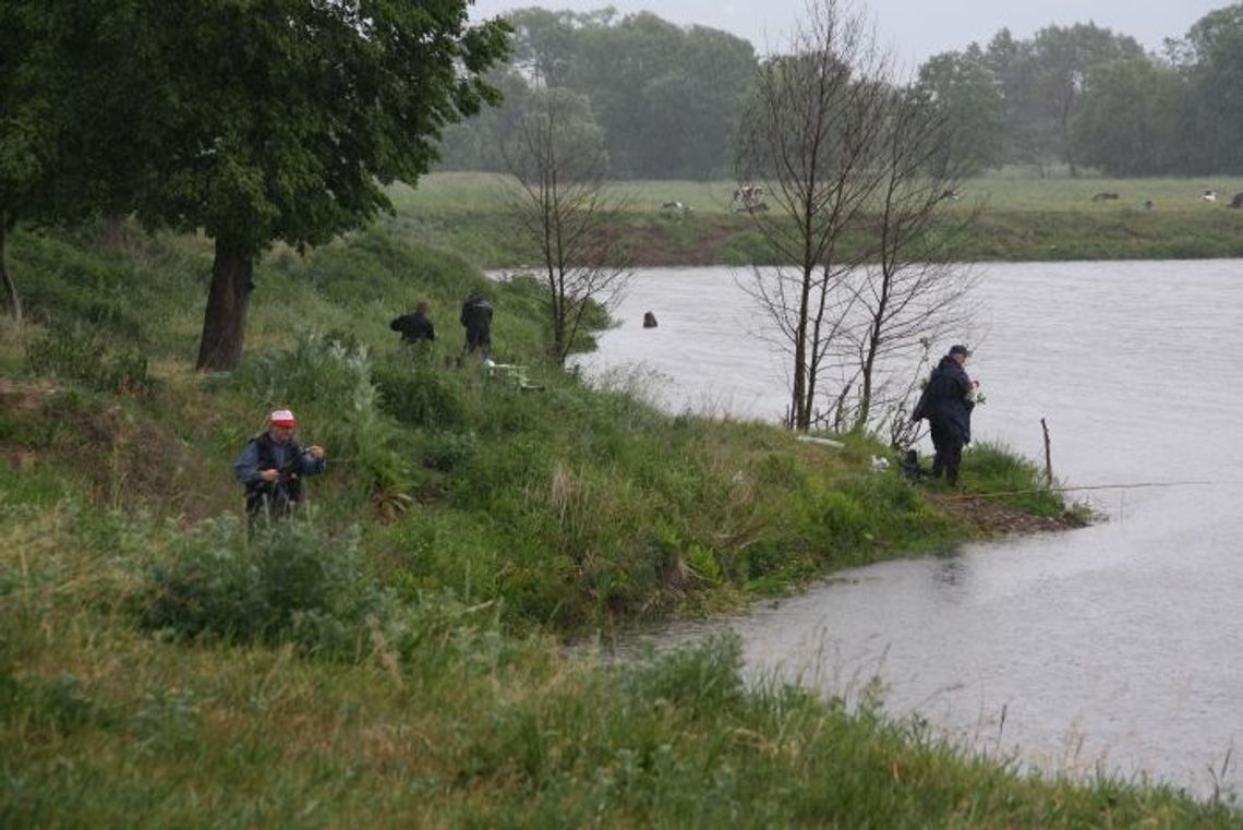 Złoty medal za „największą” rybę Złoty medal za „największą” rybę