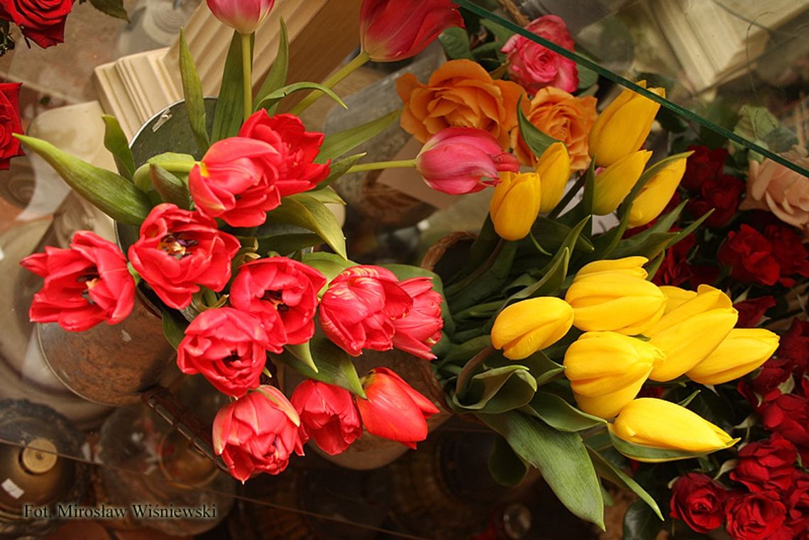 Złóż życzenia babci oraz dziadkowi Złóż życzenia babci oraz dziadkowi