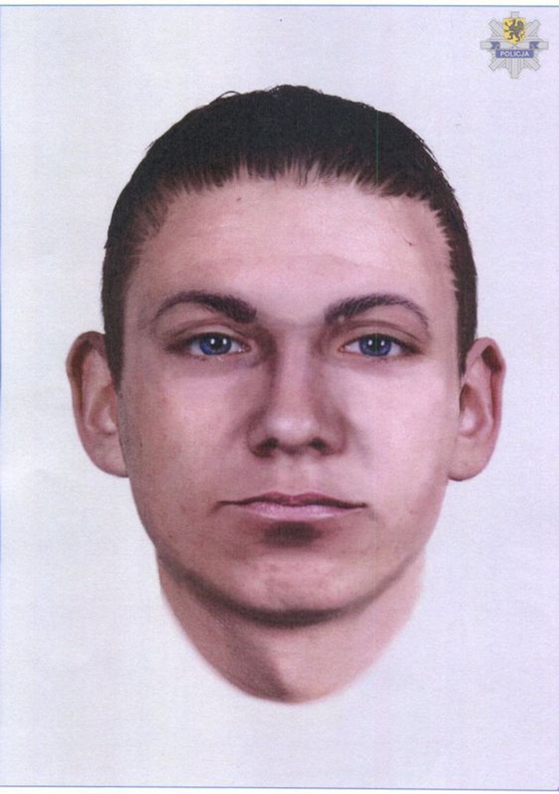 Znaleziono zwłoki mężczyzny w lesie w Białej Górze