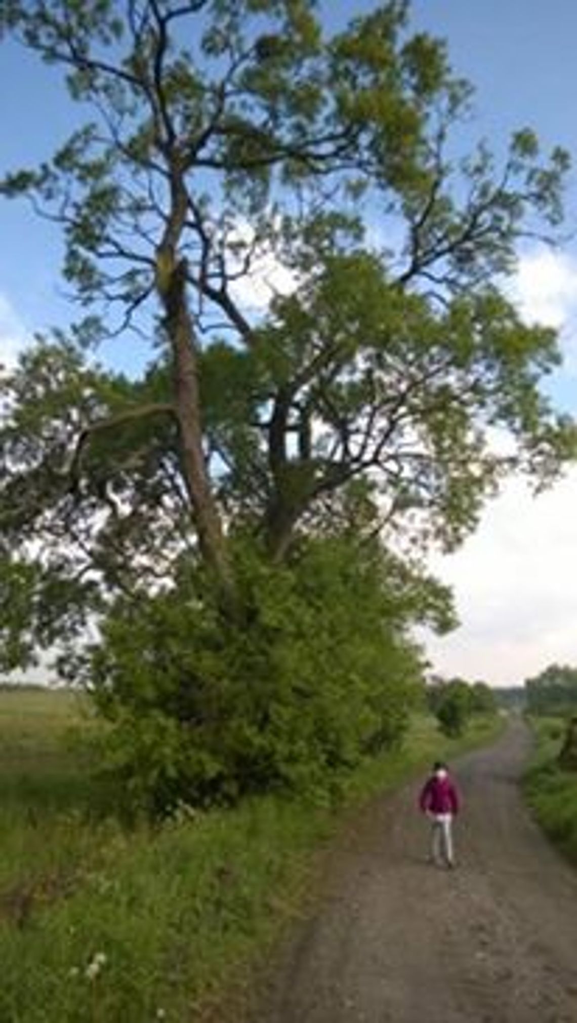 „Zróbcie coś, zanim  dojdzie do nieszczęścia!”