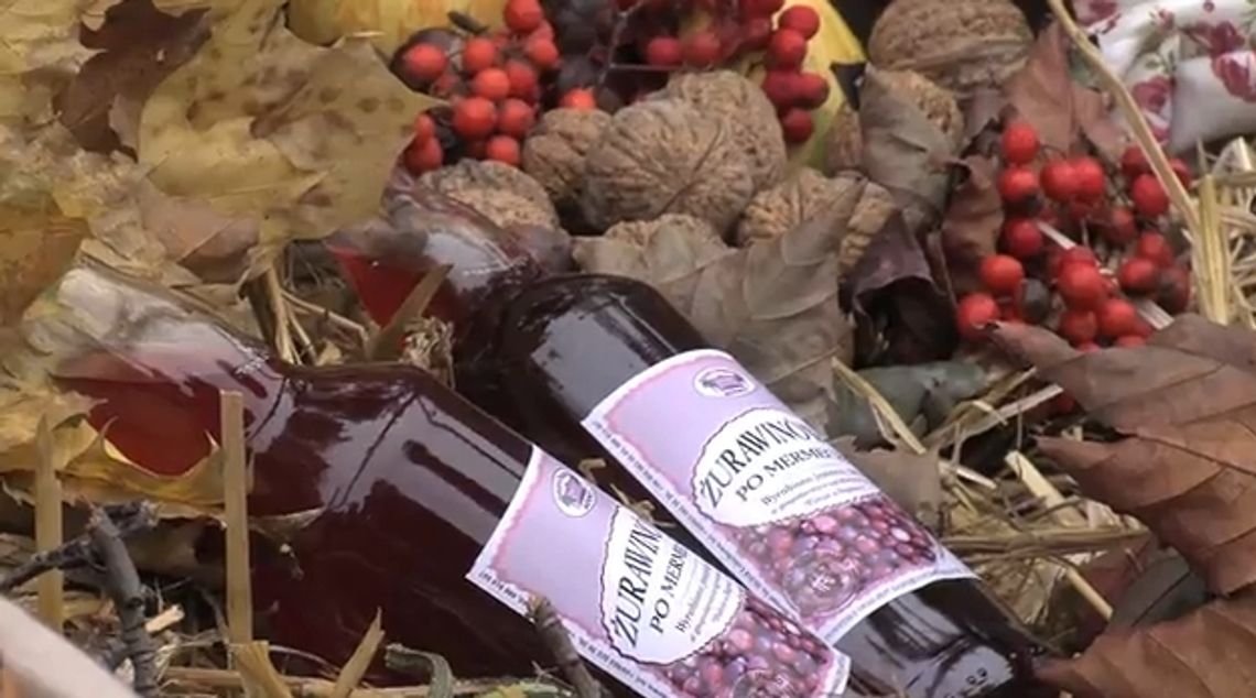 Żurawinówka po mermecku – film Smaczne Kociewie cz. 1 już gotowy! Żurawinówka po mermecku – film Smaczne Kociewie cz. 1 już gotowy!