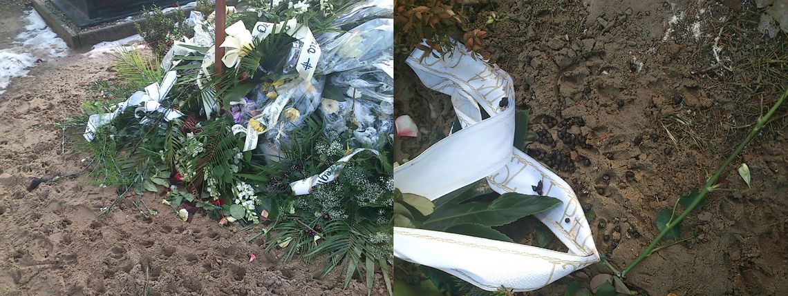 Zwierzęta paskudzą groby - problem na Cmentarzu Komunalnym