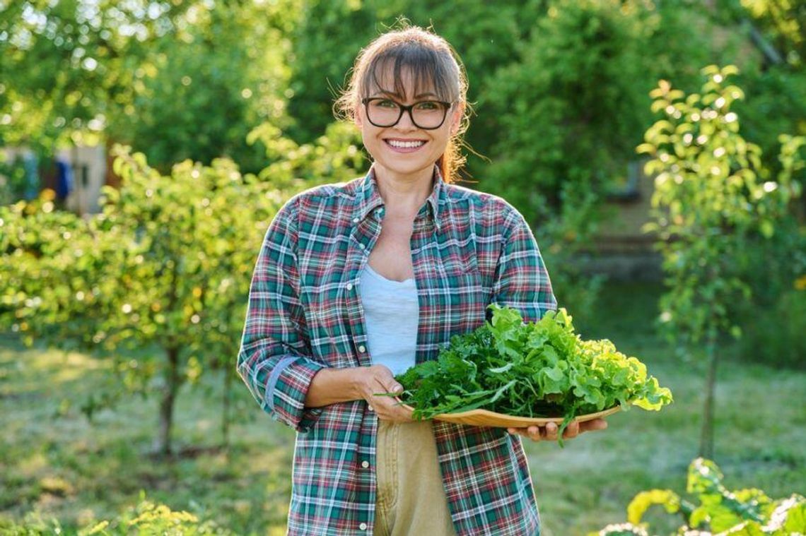 Żywność EKO różni się od tej masowej wszystkim. Proces „od pola do stołu” to zupełnie inny rodzaj produkcji rolnej
