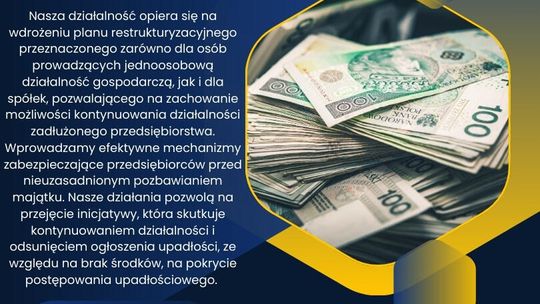 Skup Spółek Zadłużonych / Działalność Gospodarcza ?