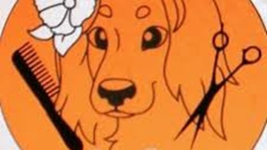 Psi fryzjer Opole - La Lunia Salon Groomerski