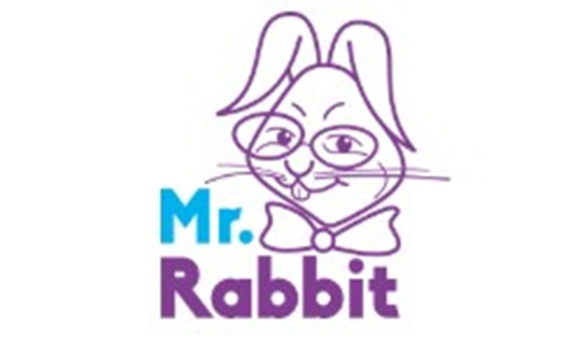 Półkolonie MR. RABBIT American Camp Toruń