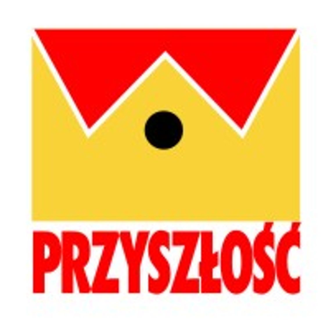 Przedsiębiorstwo Budowlano-Remontowe "Przyszłość" Piotr Wysocki Przedsiębiorstwo Budowlano-Remontowe "Przyszłość" Piotr Wysocki