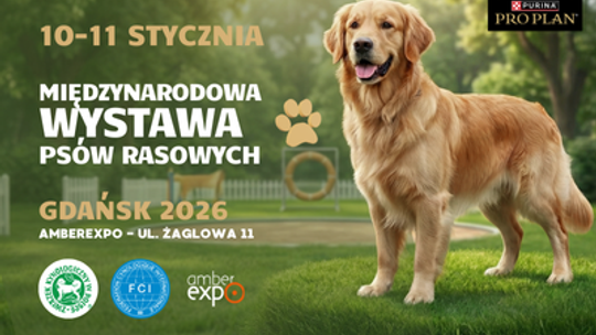 Międzynarodowa Wystawa Psów Rasowych 2026